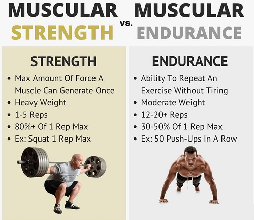 Muscular strength vs muscular Endurance bullet points
